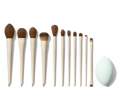 ariel brushes set|where can i buy morphe.